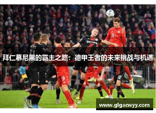 拜仁慕尼黑的霸主之路：德甲王者的未来挑战与机遇