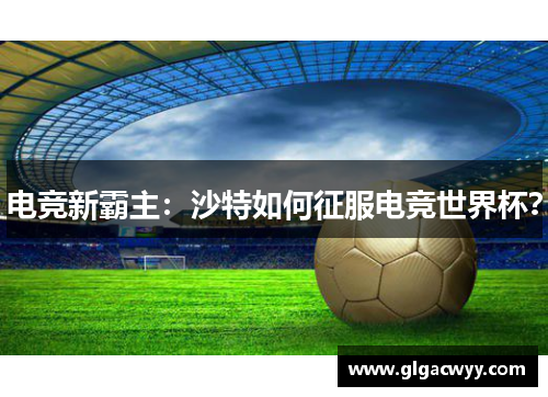 电竞新霸主:沙特如何征服电竞世界杯? 电竞新霸主:沙特如何征服电竞世界杯?