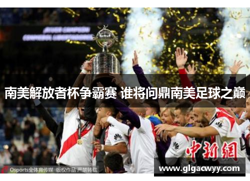 南美解放者杯争霸赛 谁将问鼎南美足球之巅