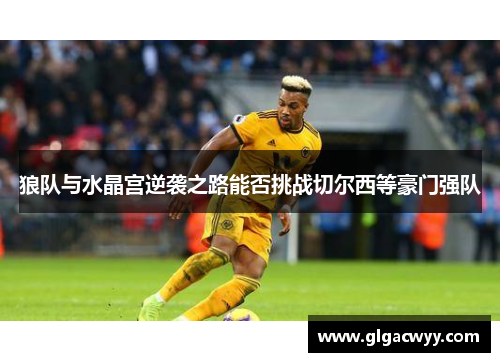 狼队与水晶宫逆袭之路能否挑战切尔西等豪门强队