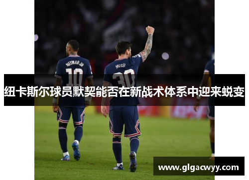 纽卡斯尔球员默契能否在新战术体系中迎来蜕变