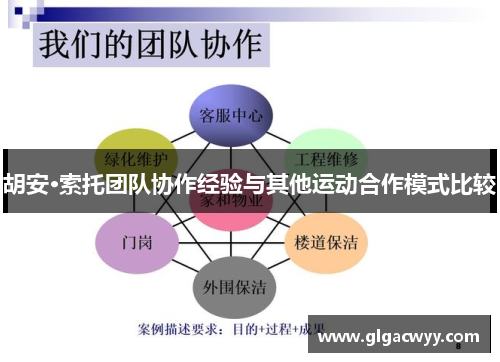 胡安·索托团队协作经验与其他运动合作模式比较 胡安·索托团队协作经验与其他运动合作模式比较
