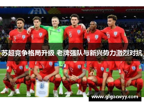 苏超竞争格局升级 老牌强队与新兴势力激烈对抗